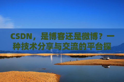 CSDN,是博客还是微博?一种技术分享与交流的平台探讨